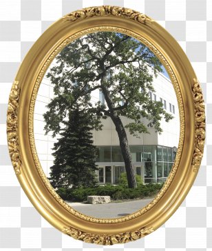 01504 The Story Of My Life - Oval - Imc Transparent PNG