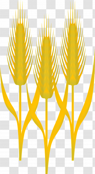 Wheat - Golden Wheat Stalk Illustration Transparent PNG