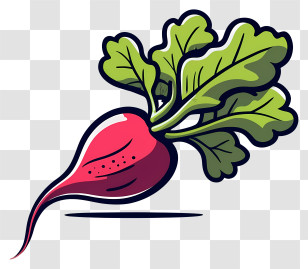 Beet - Illustration Of Red Radish With Green Leaves Transparent PNG