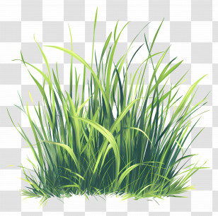 Green Grass Field - Lush Green Grass Illustration Transparent PNG