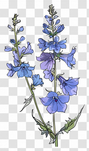 Larkspur - Illustration Of Purple Flowers On Green Stems Transparent PNG