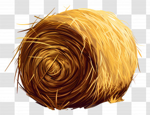 Hay - Round Hay Bale Illustration Transparent PNG