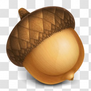 Acorn Graphics Software Png Images Transparent Acorn Graphics