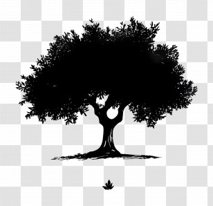 Olive Tree - Silhouette Of A Tree Transparent PNG