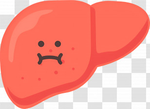 Liver - Sad Cartoon Liver Illustration Transparent PNG