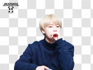 BTS Video Editing Software Picnik - Toddler Transparent PNG