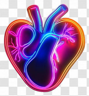 Neon Heart - Neon Anatomical Heart Illustration Transparent PNG