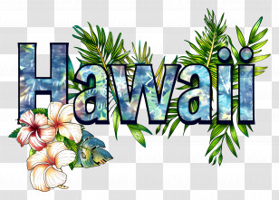 Hawaii - Tropical Hawaii Island Flag Transparent PNG