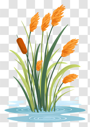 Tall Green Reeds - Cattails And Marsh Reeds Illustration Transparent PNG