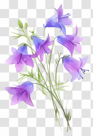 Watercolor Wildflower - Hand-Painted Purple Bellflowers Transparent PNG