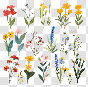 Wild Flower - Collection Of Colorful Wildflowers Transparent PNG