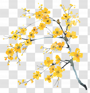 Yellow Flowers - Yellow Botanical Blossoms On A Branch Transparent PNG