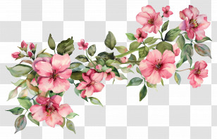Tropical Flower Background - Watercolor Illustration Of Pink Flowers Transparent PNG