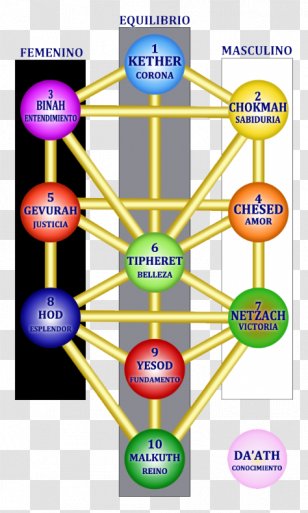 Tree Of Life Kabbalah Hermetic Qabalah Sefirot Major Arcana - Symbol ...