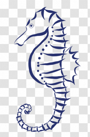 Seahorse Northern Seahorse Fish Line Line Art Transparent PNG