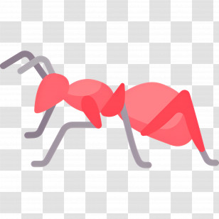 Ant - Red Ant Illustration Transparent PNG