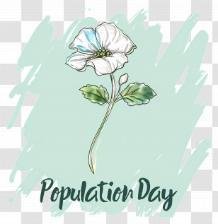 World Population Day - White Flower For Population Day Transparent PNG