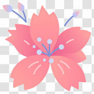 Pink Flower - Cherry Blossom Petals Illustration In Pink Tones Transparent PNG