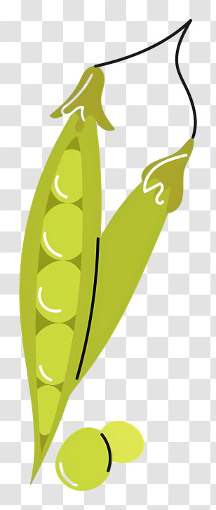 Green Pea Pod - Peas In Pod Illustration Transparent PNG