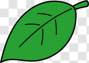 Leaf - Green Leaf Illustration For Nature Concepts Transparent PNG