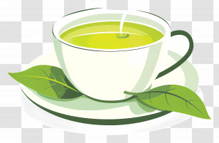 Green Tea Cup - Green Tea Cup Illustration Transparent PNG