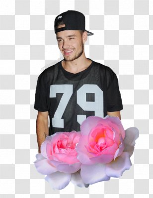 Liam Payne One Direction T-shirt Fashion - Tree Transparent PNG