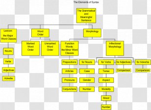 Grammar: Two Teaching Grammar Grammatical Category English - Language - Sentence Transparent PNG