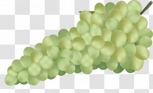 Wine Common Grape Vine Aguas Frescas Juice - Green Grapes Transparent PNG