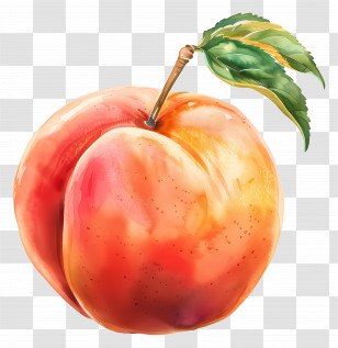 Peach - Realistic Peach With Leaves Illustration Transparent PNG