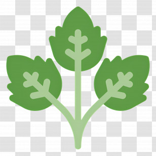 Parsley - Green Icon Of Leafy Plant Branch Transparent PNG