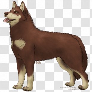 Saarloos Wolfdog Siberian Husky Canadian Eskimo Dog Tamaskan Czechoslovakian - Icelandic Sheepdog Transparent PNG