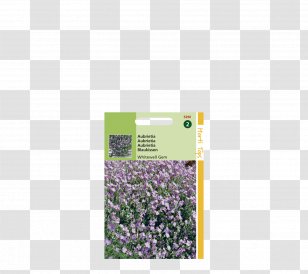 Lavender Aubrieta Violet Gemstone - Purple Transparent PNG