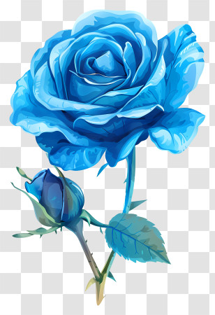 Blue Rose - Detailed Blue Rose Illustration Transparent PNG