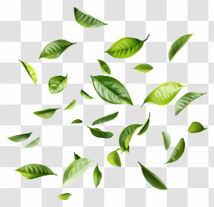 Flying Leaf - Scattered Fresh Green Leaves Illustration Transparent PNG