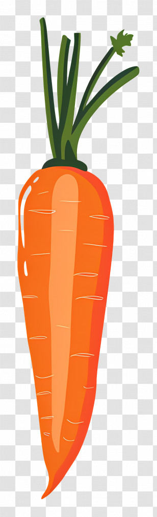 Carrot - Illustration Of A Whole Orange Carrot Transparent PNG
