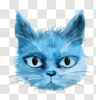 Blue Cat Face - Blue Cat Face Drawing Transparent PNG