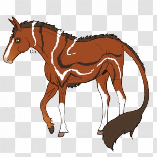 Mule Foal Stallion Mare Colt - Horse Like Mammal Transparent PNG