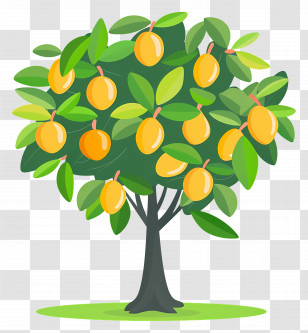 Mango Tree - Yellow Plum Fruit Tree Illustration Transparent PNG