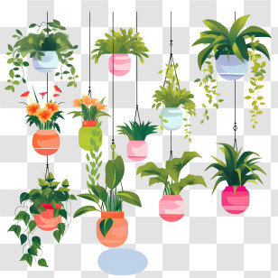 Hanging Plant With Pot - Colorful Hanging Houseplants For Indoor Decoration Transparent PNG