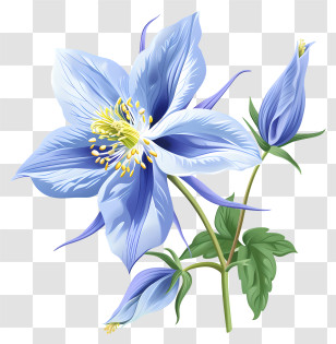 Columbine Flower - Beautiful Blue Flower Botanical Illustration Transparent PNG
