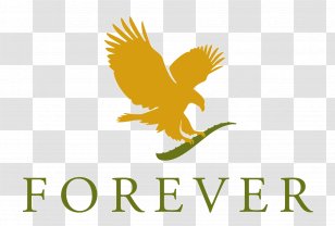 Forever Living Products Scandinavia AB Aloe Vera Multi-level Marketing Distribuidor - Wing - Friend Transparent PNG