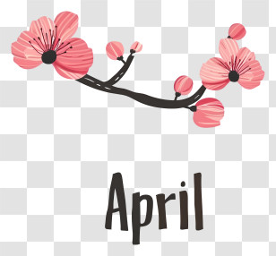 April - Pink Cherry Blossom For April Theme Transparent PNG