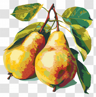 Pears - Yellow-Green Pears With Leaves Illustration Transparent PNG