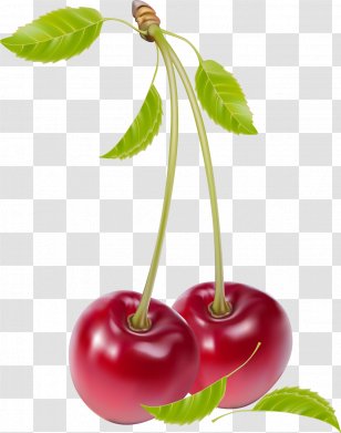 Cherry Fruit Clip Art - Royaltyfree Transparent PNG