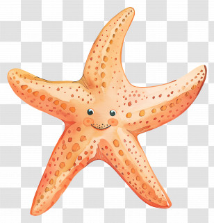 Starfish - Smiling Starfish Illustration Transparent PNG