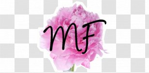 Peony Pink Flowers Cut Flower Bouquet - Creative Transparent PNG
