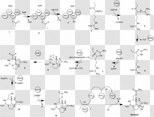 Saxitoxin Tetrodotoxin Diagram Paralytic Shellfish Poisoning - Toxicology - Handwriting Transparent PNG