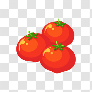 Tomatoes - Fresh Red Tomatoes Illustration Transparent PNG