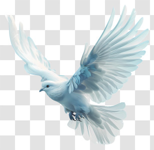 Amazing Icon - Graceful White Dove In Flight Transparent PNG