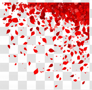 Falling Leaves - Falling Red Petals For Romantic Background Transparent PNG